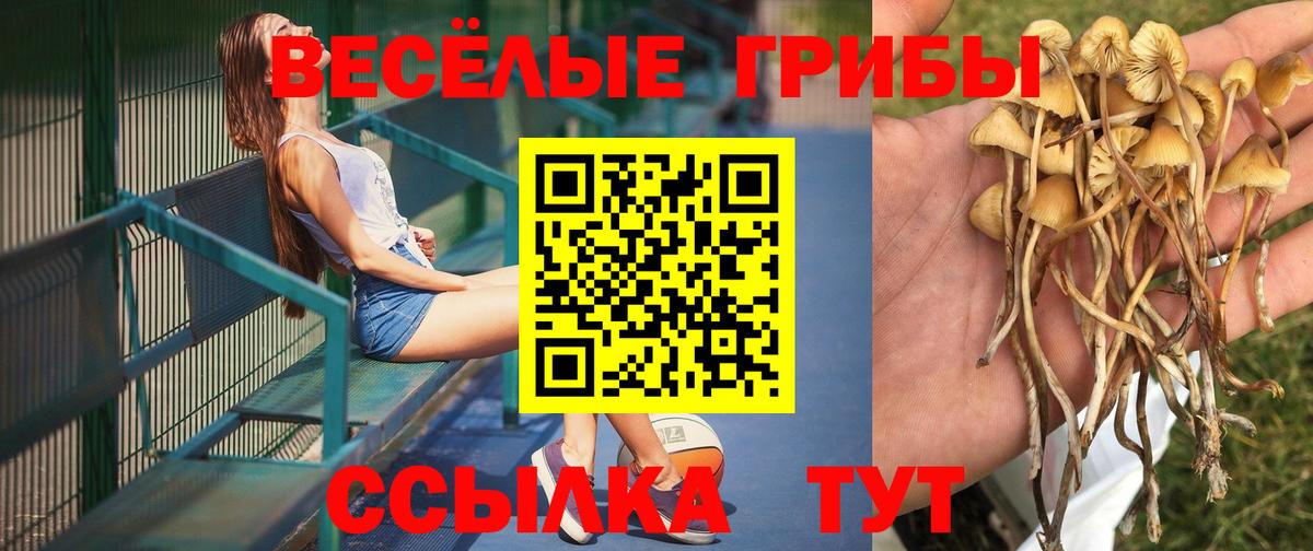 Галлюциногенные грибы мицелий Луховицы