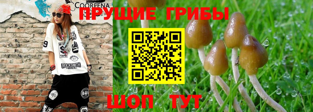 Псилоцибиновые грибы ЛСД  Вход с VPN  Луховицы 